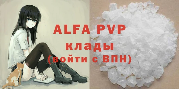 прущие грибы Усинск