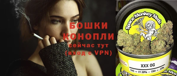 прущие грибы Усинск