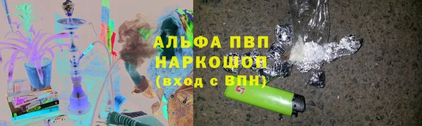прущие грибы Усинск